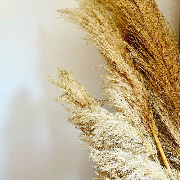 Accessories - Posh Show Listing - Like to be notified for a Live Show!